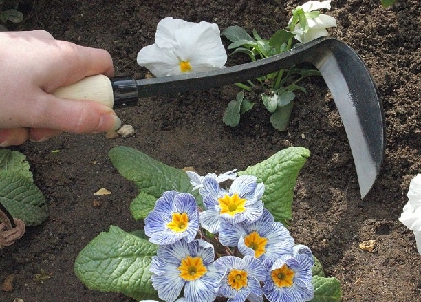 Binette adaptée à la gaucherie.