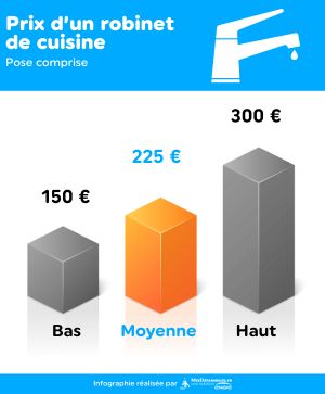 prix robinet de cuisine infographie