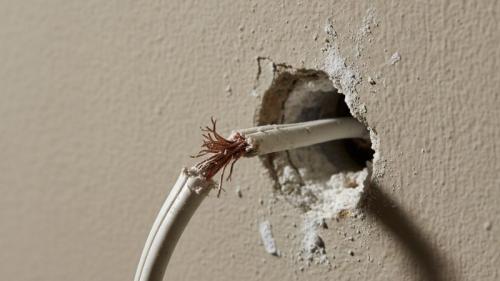 cable electrique ronge par un rat