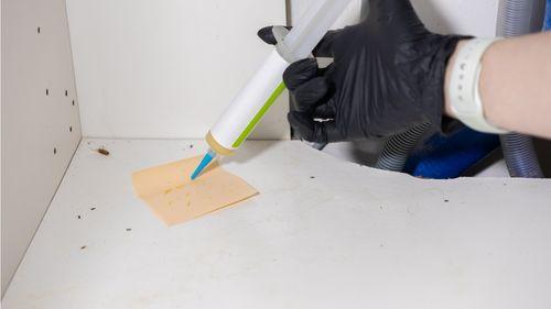 professionnel appliquant un traitement anticafard, la bonne réacion lorsqu'on a trouvé un cafard chez soi et qu'on se demande quoi faire