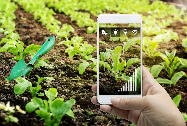 BioGarden, solution de jardin connecté repérée au CES 2022