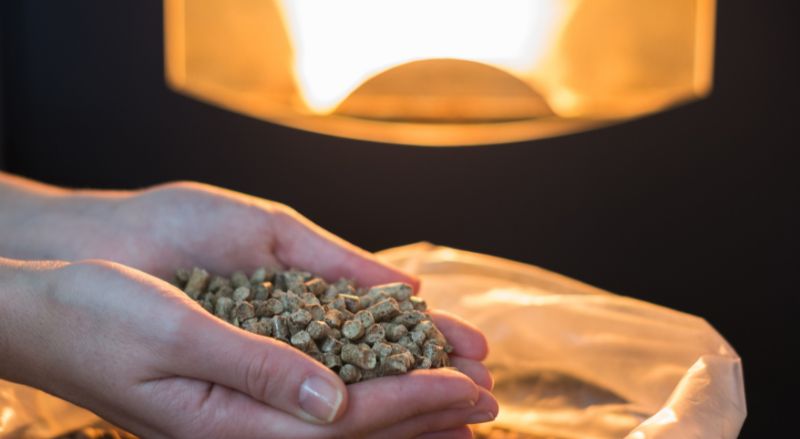 pellets de haute qualite pour feu de bois dans les mains d une femme