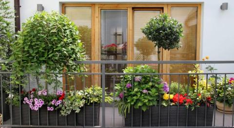 beau balcon terrasse avec beaucoup de jardinieres et pot de fleurs
