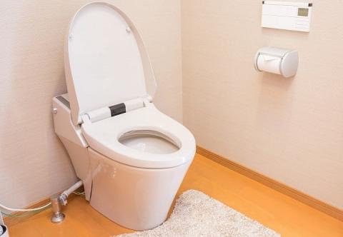 Un sanibroyeur bouché cause des tracas dans les toilettes !